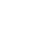 NZ Icon